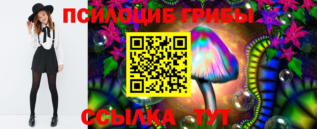 Псилоцибиновые грибы MAGIC MUSHROOMS  Вход с VPN  Холмск 